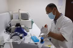 附图 图自越通社