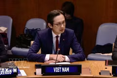 越南常驻联合国代表团团长杜雄越大使。图自越通社