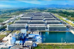 越南农业与环境部建议开展多层楼房养猪模式。图自《青年报》