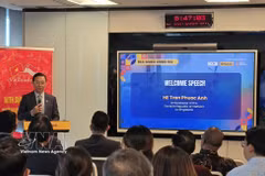 越南驻新加坡大使陈福英在开幕式上致辞。图自越通社