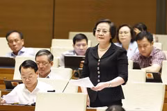 越南内务部部长范氏青茶发言。图自越通社