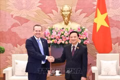 越南国会副主席阮克定会见巴西—越南友好议员小组主席霍奈塞尔。图自越通社