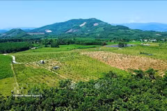 唤醒“红色遗址”范文同农场发展新潜力