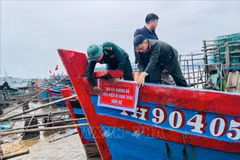 清化省各沿海地区认真同步实施多项预防和打击IUU捕捞的措施。图自越通社