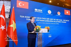 越南国会主席陈青敏在座谈会上发言。图自越通社