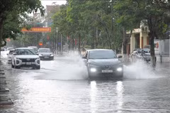 太平省暴雨致多条街道被淹没。图自越通社