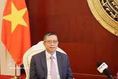 越南国会主席陈青敏访华为双方关系注入动力