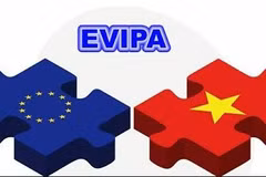 附图。图自互联网