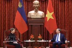 越共中央总书记、国家主席苏林会见列支敦士登公国首相布丽吉特·哈斯