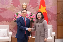 越南国会副主席阮氏清（右）与韩国驻越南大使崔泳三。图自越通社