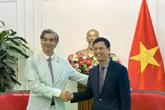 越南外交部副部长会见了欧盟驻东盟大使席姆。图自越通社