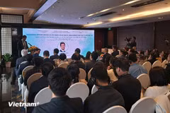 讨论会场景。图自Vietnam+