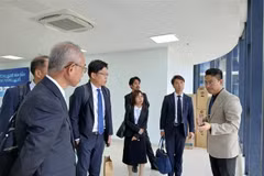岘港市加快推动投资 促进创业创新生态系统建设