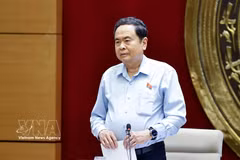 越南国会主席陈青敏发表讲话。图自越通社