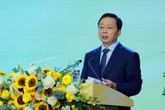 越南政府副总理陈红河。图自越通社