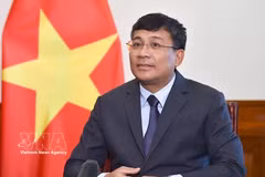 越南外交部常务副部长阮明羽。图自越通社