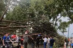 越南北部多地冰雹、龙卷风和雷暴集体爆发造成严重损失。图自越通社