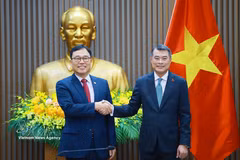 越南政府总理黎明兴会见韩国驻越南大使崔泳杉。图自越通社