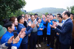 越南政府总理范明政走访了奠边省普洱乡怀滔乙村的澳洲坚果种植模式。图自越通社