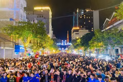 高平省金同步行街。图自越通社