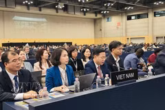 越南外交部副部长吴黎文出席第48届联合国教科文组织世界遗产委员会会议。图自越通社
