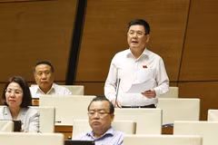 越南工贸部部长阮鸿延在会议上作报告。图自越通社