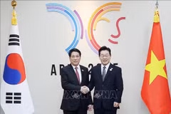 越南国家主席梁强与韩国总统李在明。图自越通社