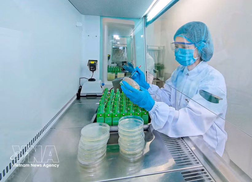 雀巢位于兴安省的莲花工厂将数字技术应用于绿色生产。图自越通社