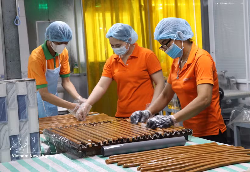 永隆省梂棋（Cầu Kè）椰蓉加工有限公司工人正在加工椰蓉产品。图自越通社