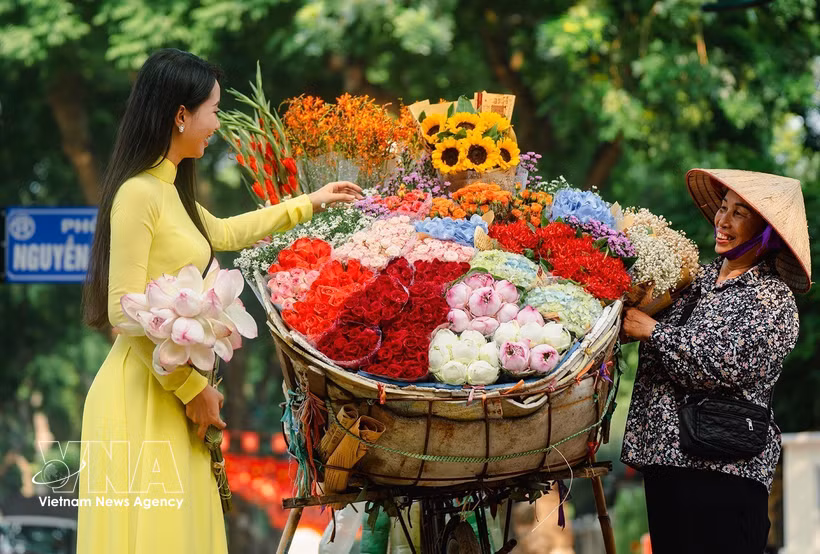 卖花的单车小贩是河内秋天一道特有的美景。图自越通社