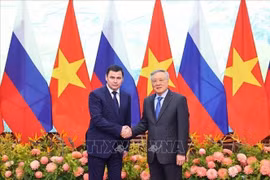 越南政府常务副总理阮和平与俄罗斯总统助理米罗诺夫·德米特里。图自越通社