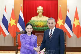 越共中央总书记苏林会见泰国总理佩通坦·钦那瓦。图自越通社