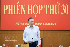 越共中央总书记、国家主席苏林发表讲话。图自越通社