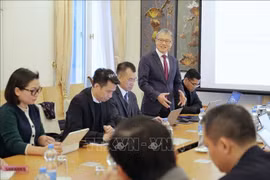 阮春听教授在座谈会上发言。图自越通社