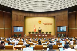 会议场景。图自越通社