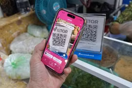 银行部门加快数字化进程，推进非现金支付。图自越通社