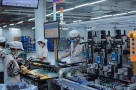 附图 图自越通社