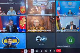 东盟各国外长3月30日上午召开紧急视频会议。图自越通社
