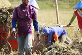 附图 图自IFPRI