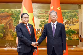越南国会主席陈青敏与中共中央政治局常委、全国人大常委会委员长赵乐际举行会谈 