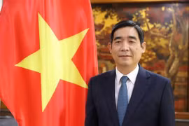 越南驻泰国大使潘越雄。图自越通社