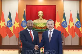 越共中央总书记苏林会见埃塞俄比亚联邦民主共和国总理阿比·艾哈迈德。图自越通社