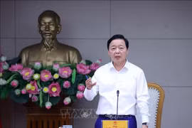 陈红河副总理发言。图自越通社