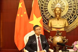 越南驻华大使范青平。图自越通社