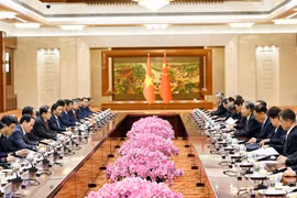 夯实越中关系的法律基础