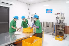 国家需要为AI、机器人或自动化等尚无先例的技术，构建包容审慎的监管机制，让企业能够在实地部署和完善产品。图自越通社