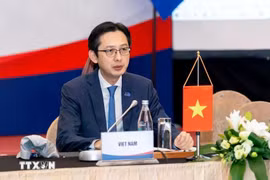越南外交部副部长杜雄越。图自越通社