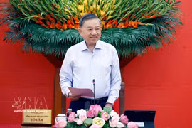 越共中央总书记、国家主席苏林在会议上发表讲话。图自越通社