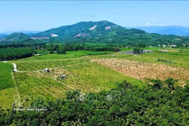 唤醒“红色遗址”范文同农场发展新潜力