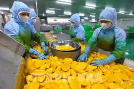 附图 图自越通社